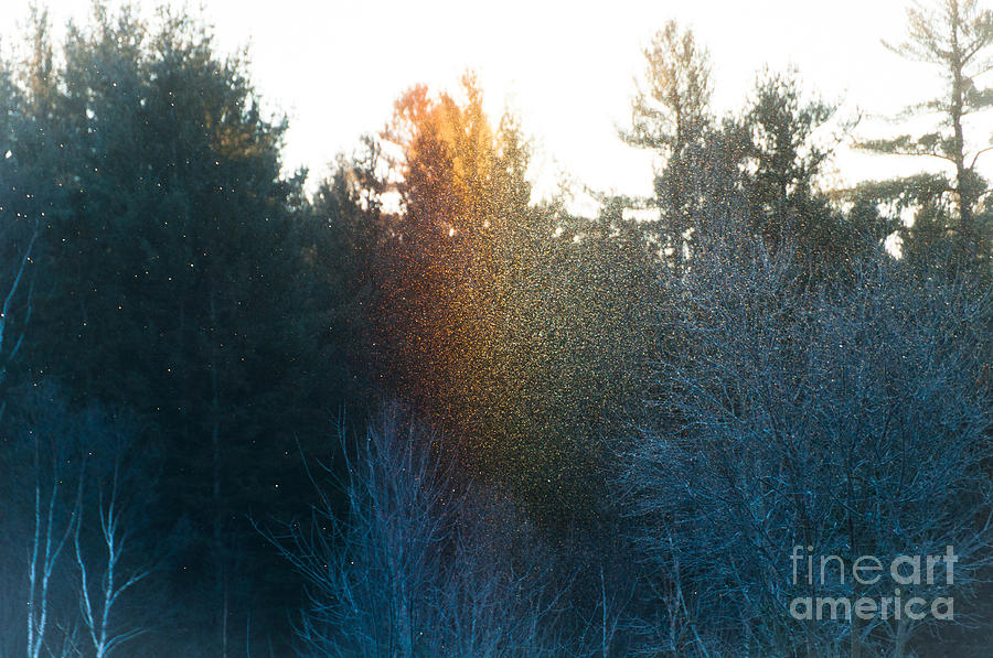 Rainbow Sparkles Photograph by Cheryl Baxter