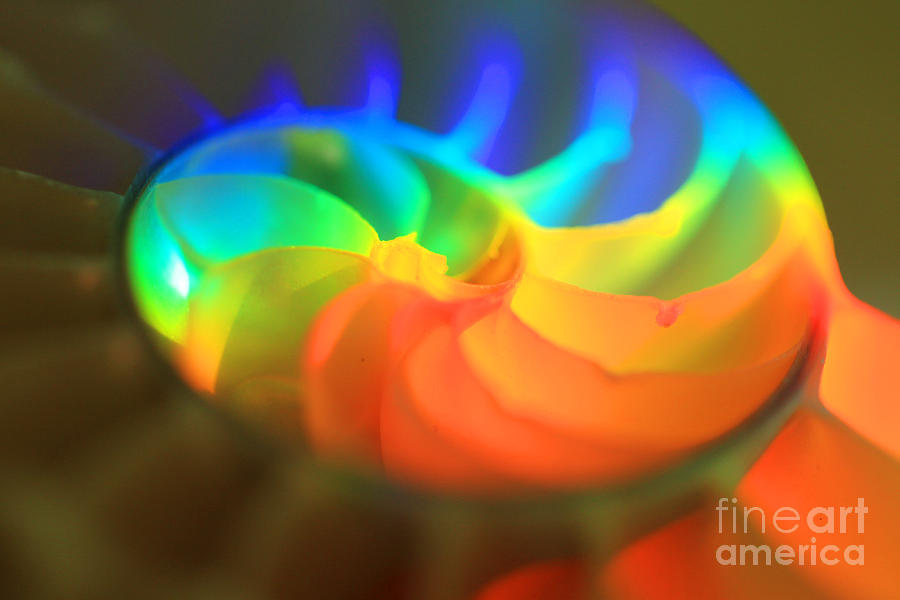 Rainbow Spiral Photograph by Jeanette French