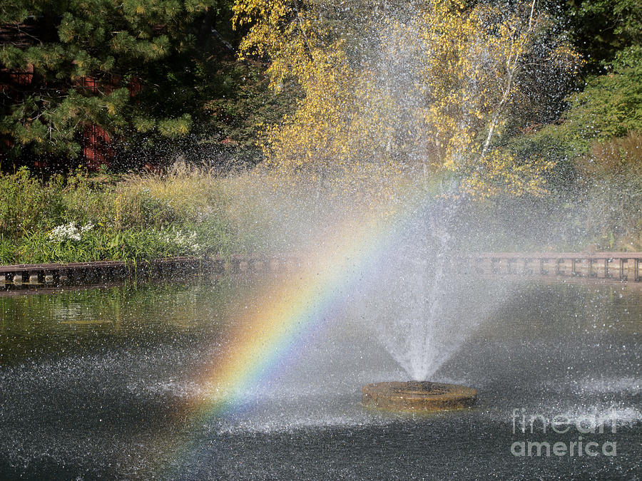 Rainbow Splash Photograph by Ann Horn