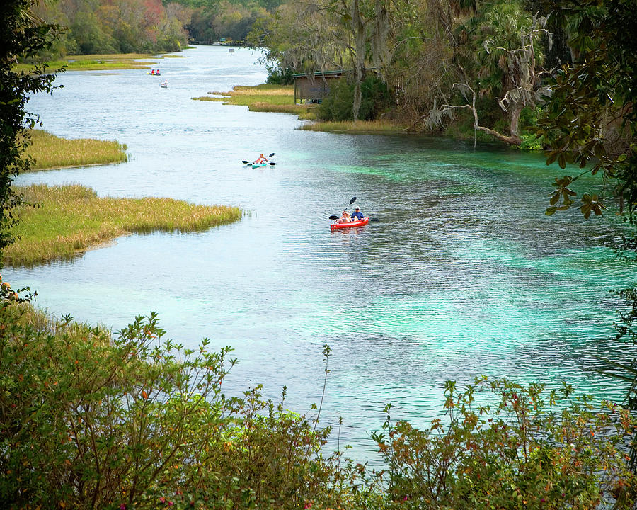Rainbow Springs State Park, Fl Photograph by Ron Koeberer Rainbow Springs State Park, Fl Photograph by Ron Koeberer