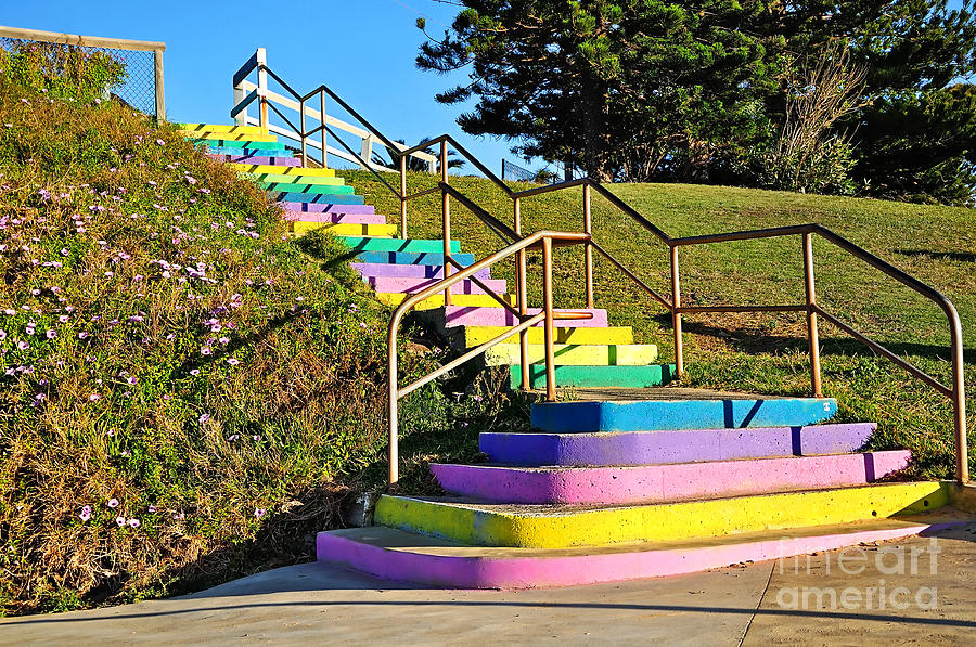 Flower Photograph - Rainbow Steps by Kaye Menner