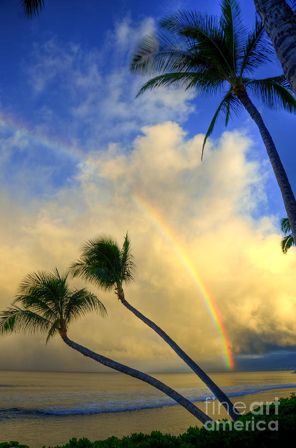 Rainbow Sunrise Photograph by Kelly Wade