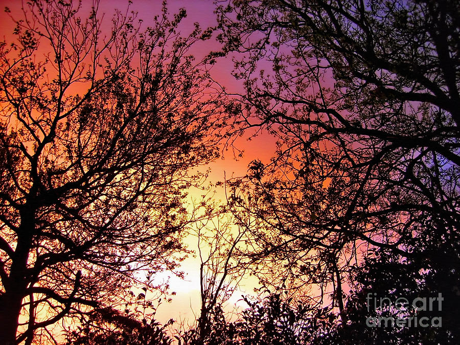 Sunset Photograph - Rainbow Sunset by Kaye Menner