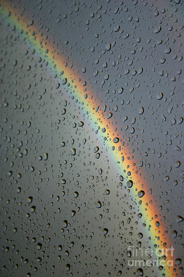 Wet Rainbow