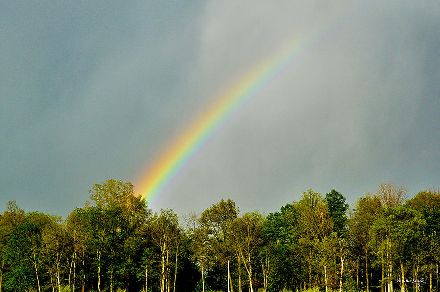 Nature Photograph - Rainbow to the clouds by Verana Stark