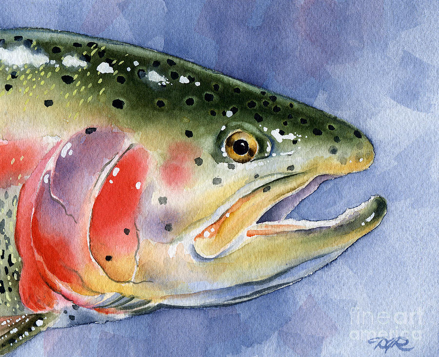 Fly Painting - Rainbow Trout by David Rogers