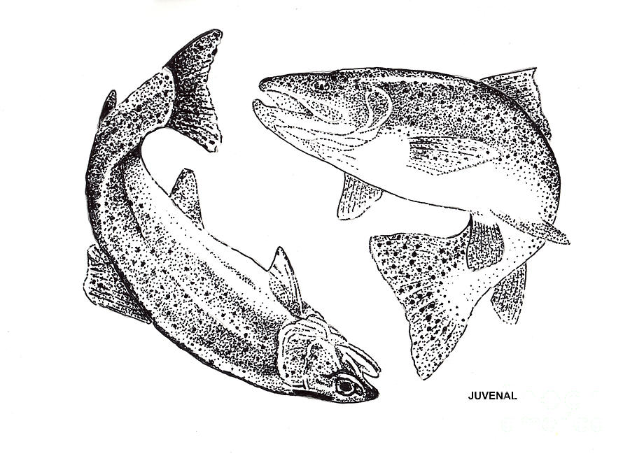 trout jumping line art