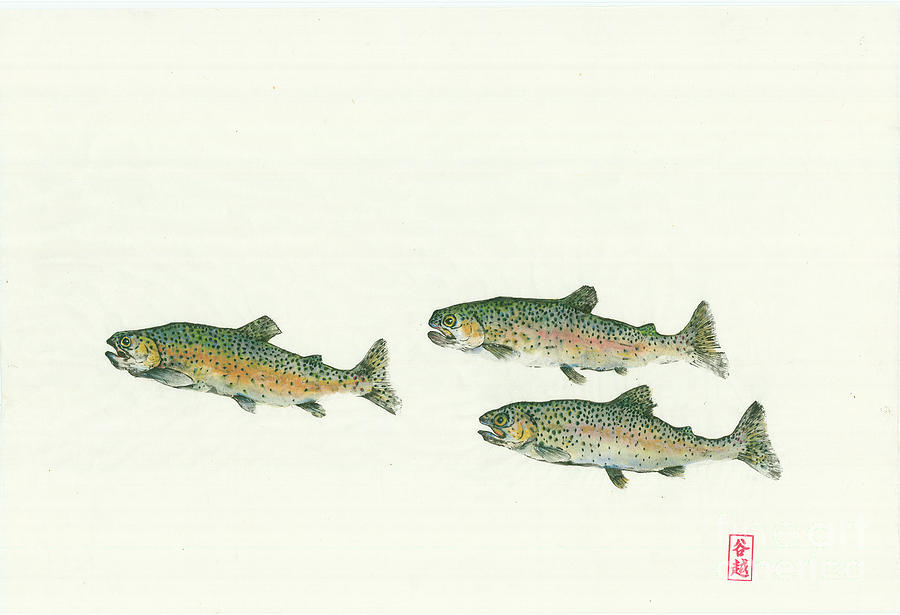 Trout Painting - Rainbow trout school gyotaku by Julia Tinker
