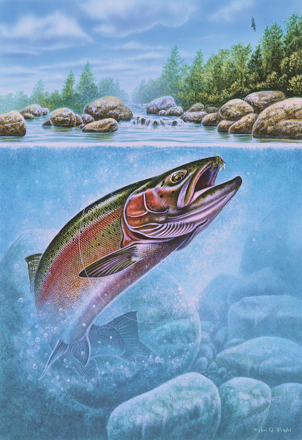 Fish Painting - Rainbow Trout Split Level by JQ Licensing