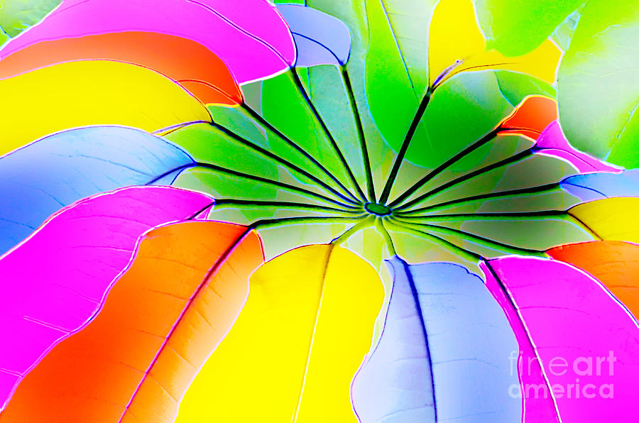 Rainbow Colors Photograph - Rainbow Umbrella by David Lawson