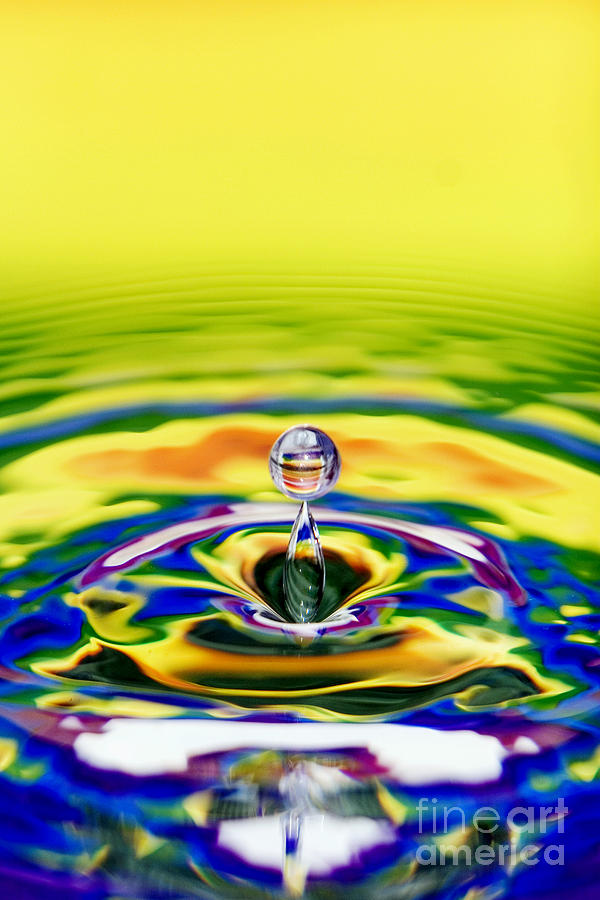 Rainbow Water drop Photograph by Tim Gainey