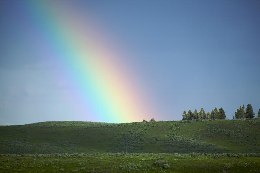 Rainbow, Yellowstone Park Photograph by Byron Jorjorian