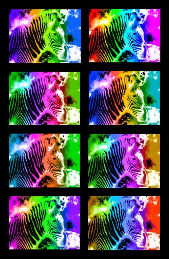 Rainbow Zebra Collage Painting by Bruce Nutting