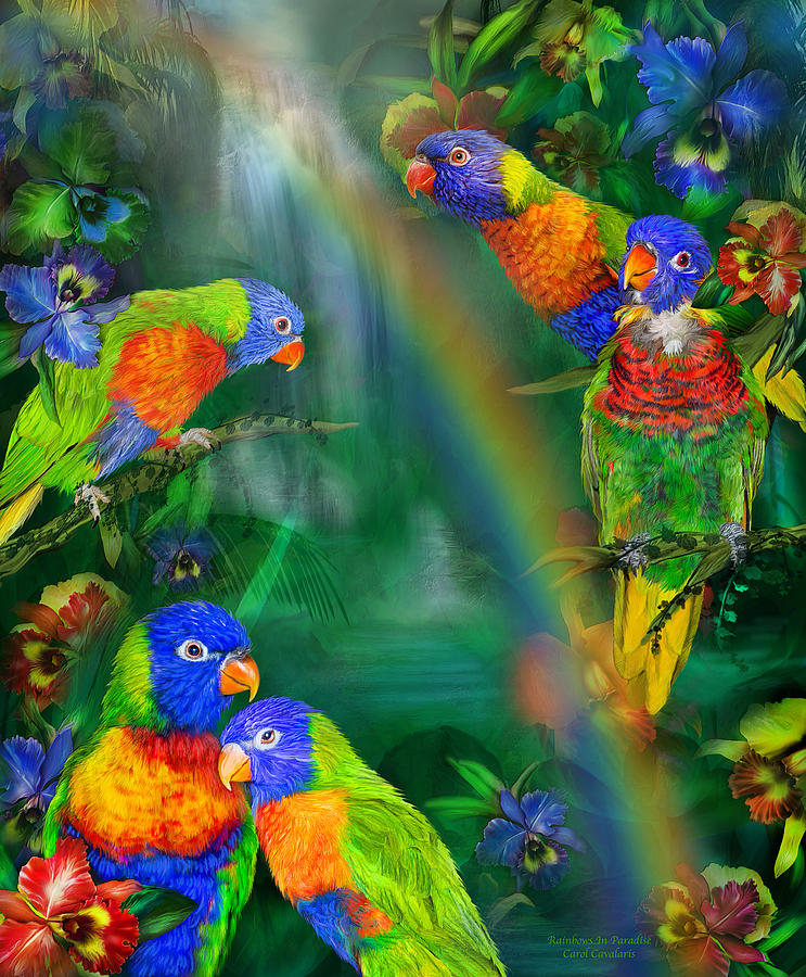 Parrot Mixed Media - Rainbows In Paradise by Carol Cavalaris
