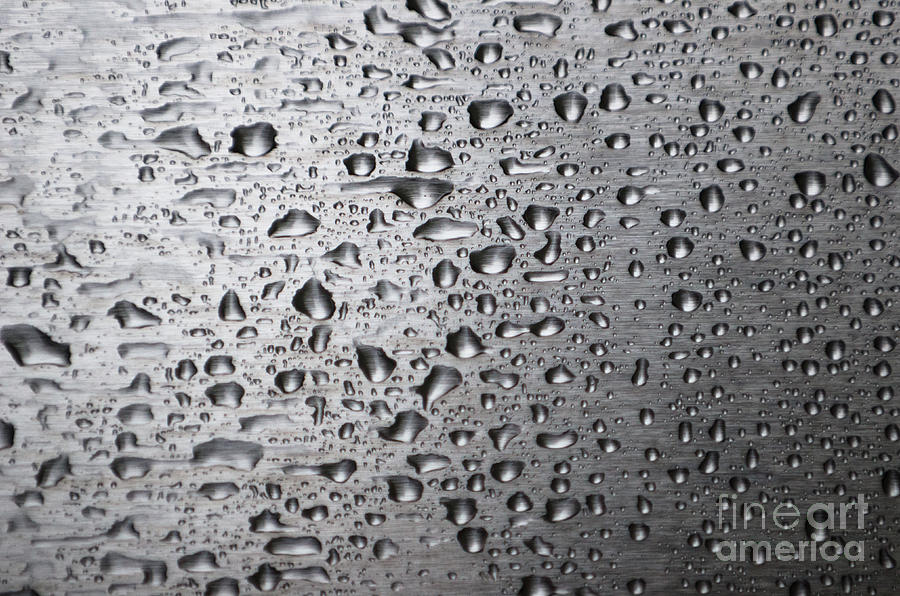 Raind Drop On Stainless Photograph