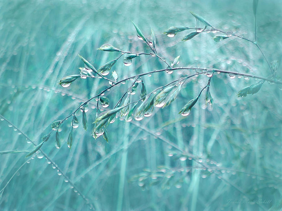 Raindrops Falling on Turquoise Grasses Photograph by Jennie Marie Schell