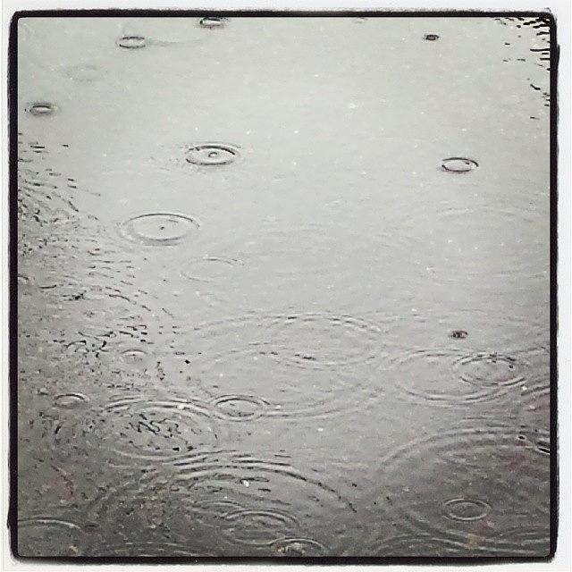 Raindrops Keep Falling Photograph by Darlene Cunnup