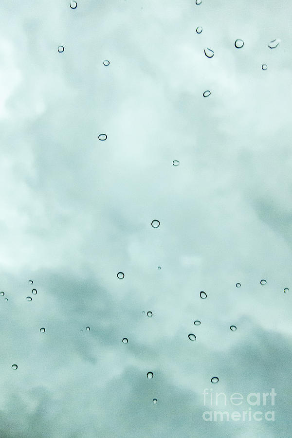 Raindrops Photograph by Margie Hurwich