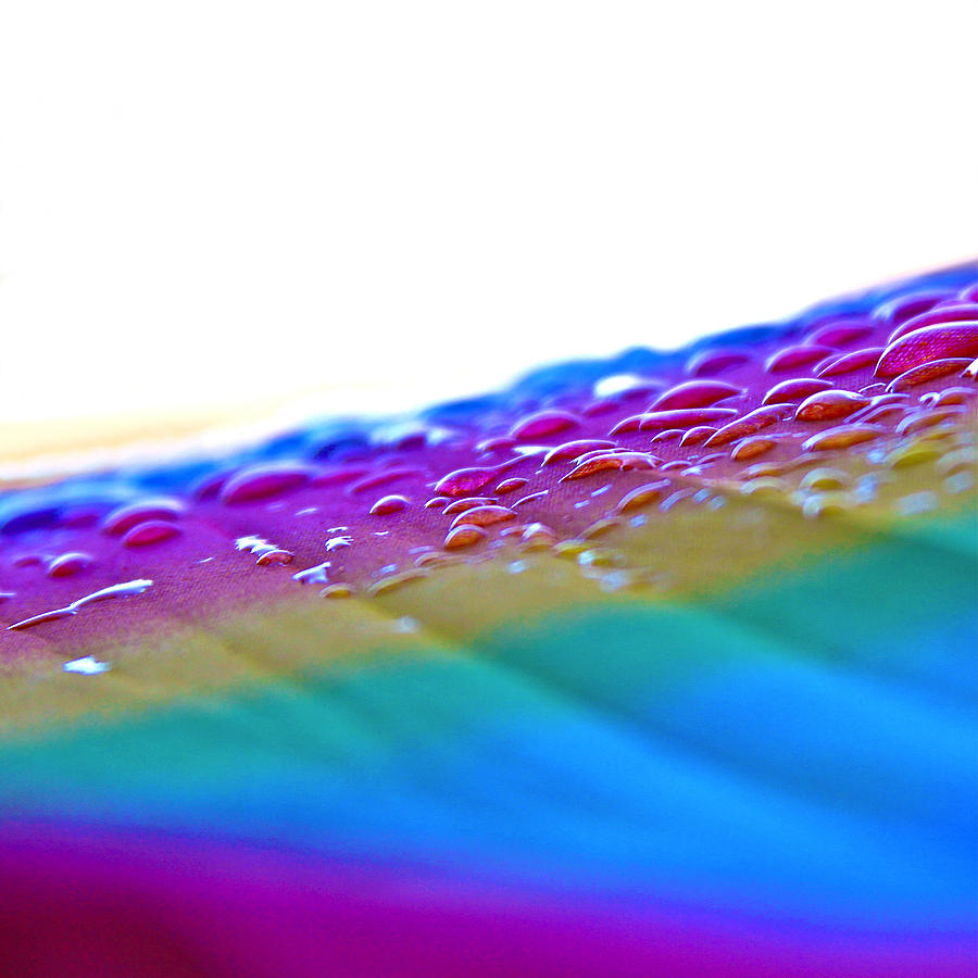 Abstract Photograph - Raindrops on my Umbrella by Karon Melillo DeVega