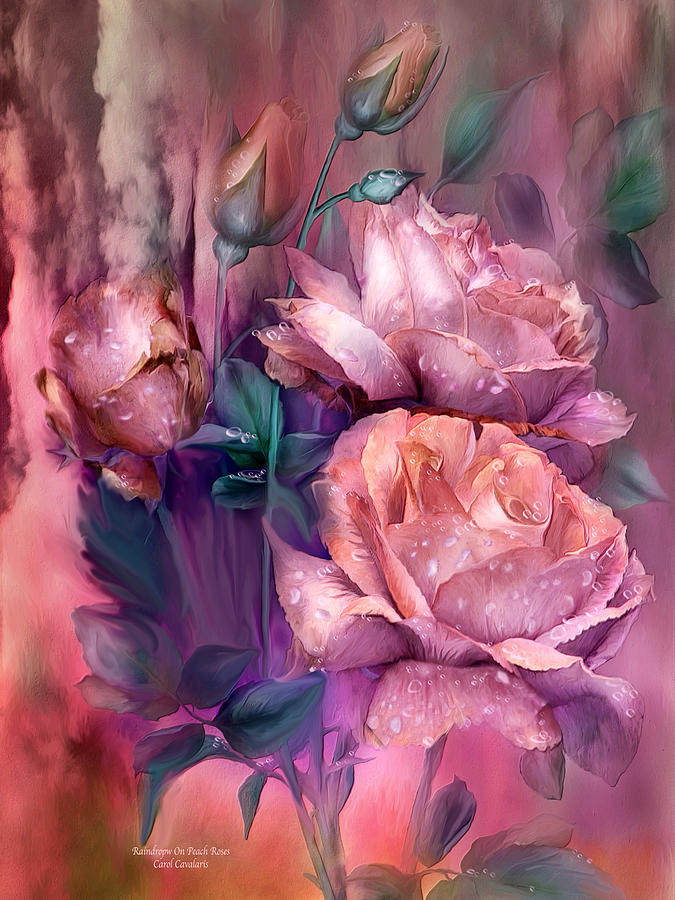 Raindrops On Peach Roses Mixed Media by Carol Cavalaris
