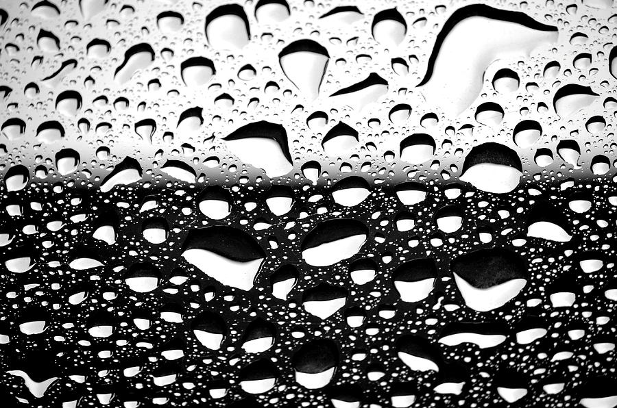 Raindrops Digital Art by Paulo Zerbato