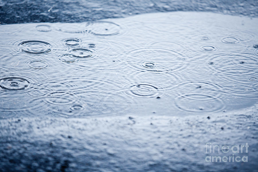 Water Photograph - Raindrops  by Sharon Dominick