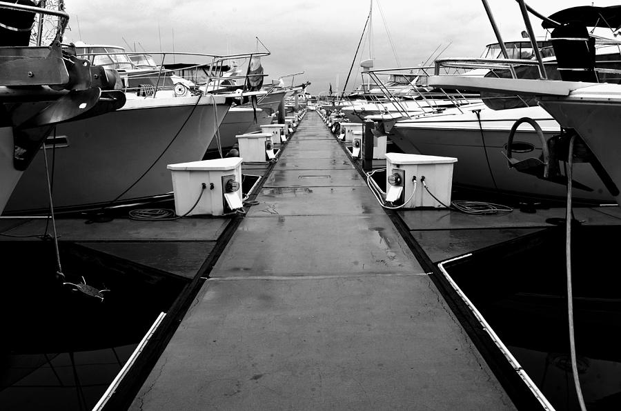 Rainey Day At The Marina Photograph by William Kimble