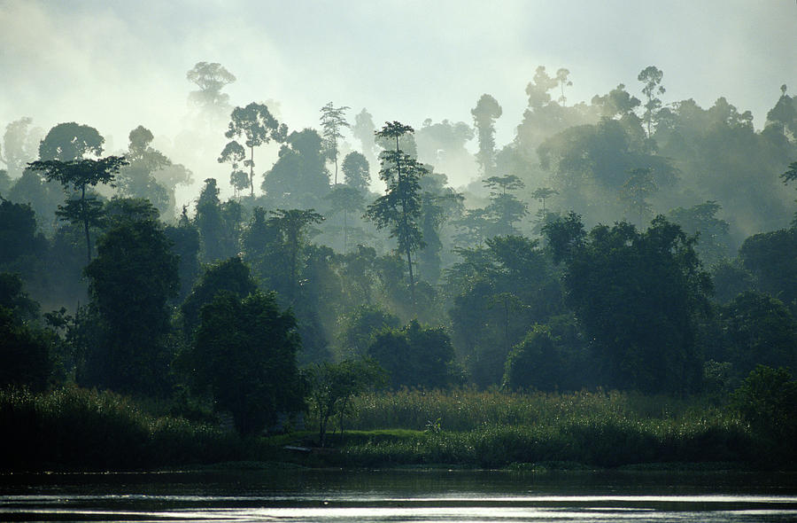 Rainforest And River, Borneo, Malaysia Photograph by Roine Magnusson