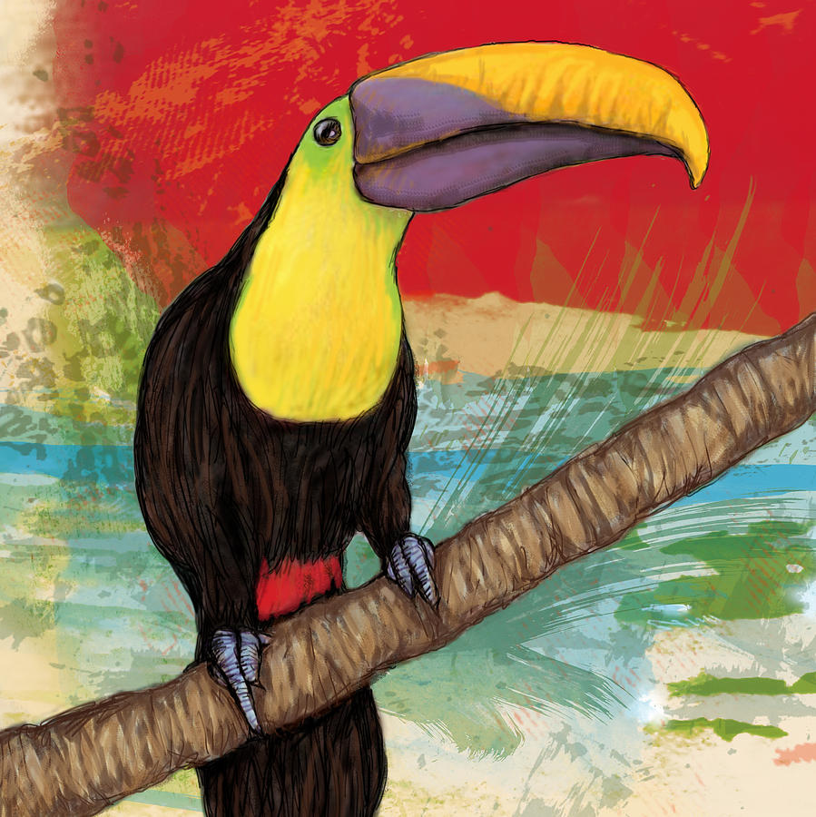 Abstract Drawing - Rainforest Bird - Keel Billed Toucan Stylised Pop Art Drawing Potrait Poser by Kim Wang