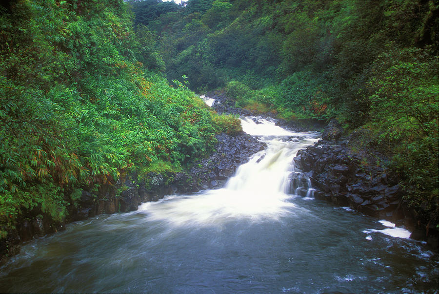 Rainforest Cascade and Pool Hana Maui Hawaii Photograph by John Burk