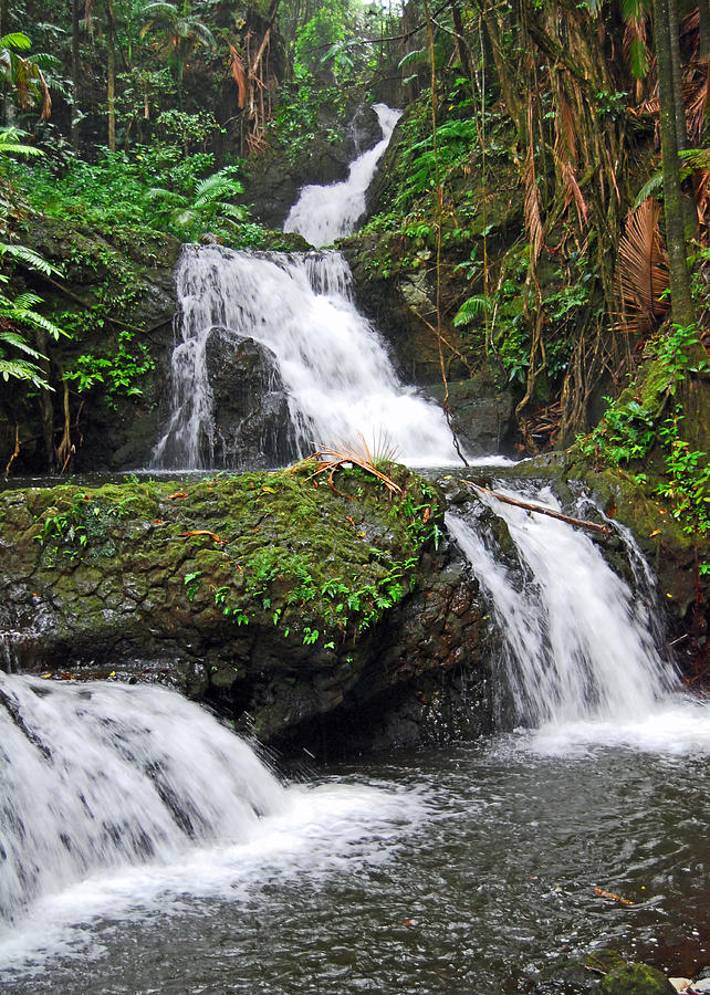 Rainforest Falls Photograph By Gloria Merritt - Fine Art America