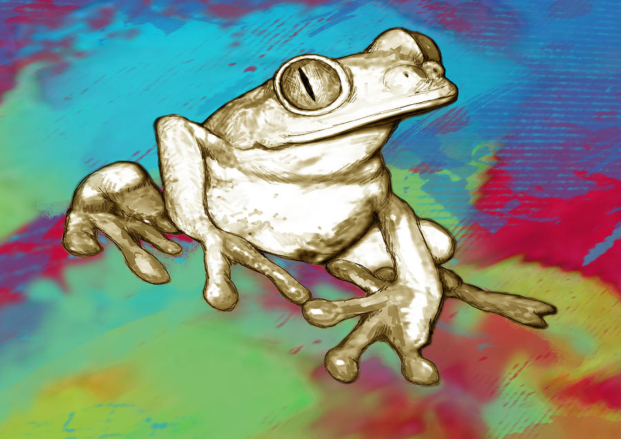 Abstract Drawing - Rainforest Frog Stylised Pop Art Drawing Portrait Poster by Kim Wang