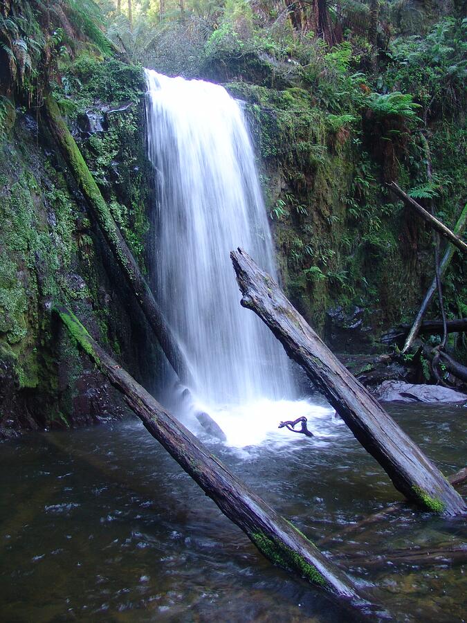 Rainforest Waterfall Run Off Photograph