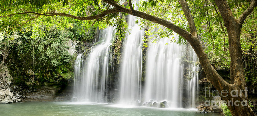 Nature Photograph - Rainforest Waterfall by Oscar Gutierrez