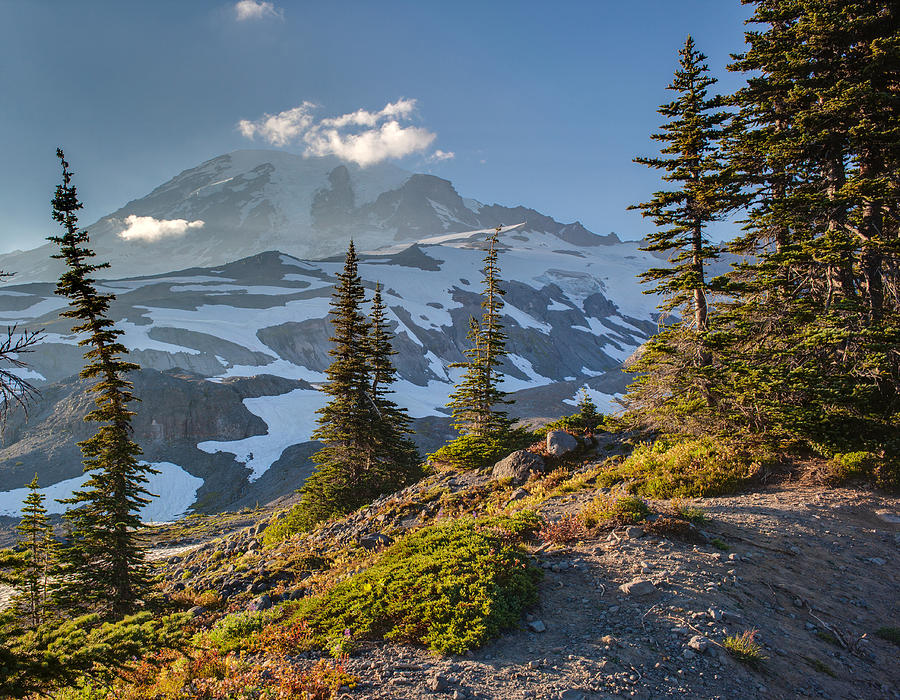 National Parks Photograph - Rainier From Paradise Glacier by Mike Reid