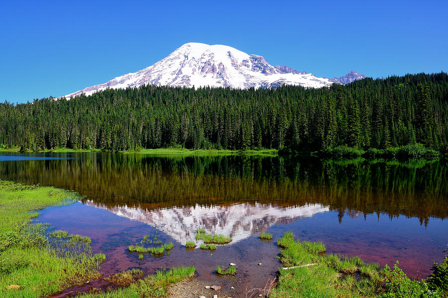 Rainier Reflections Photograph by Greg Norrell