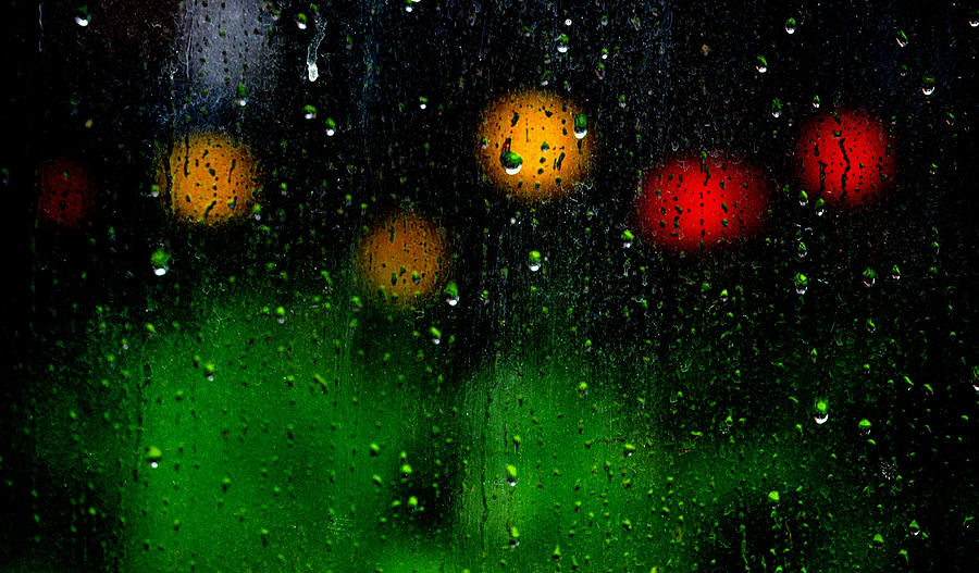 Raining Backyard Photograph by Joan Han