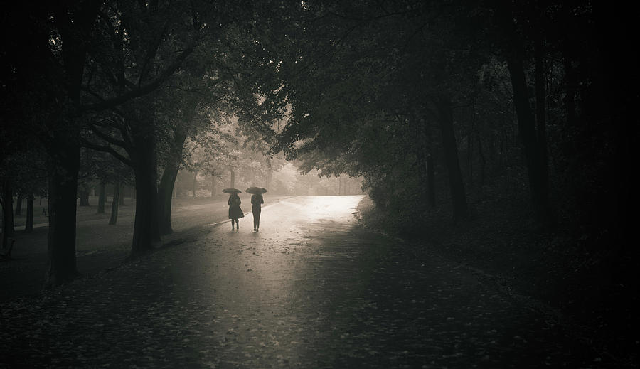 Fall Photograph - Rainy Afternoom by Pedram Khoshbakht