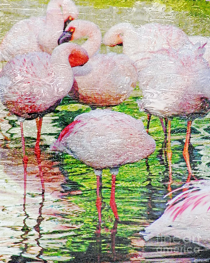 Rainy Day Flamingos 2 Digital Art by Lizi Beard-Ward