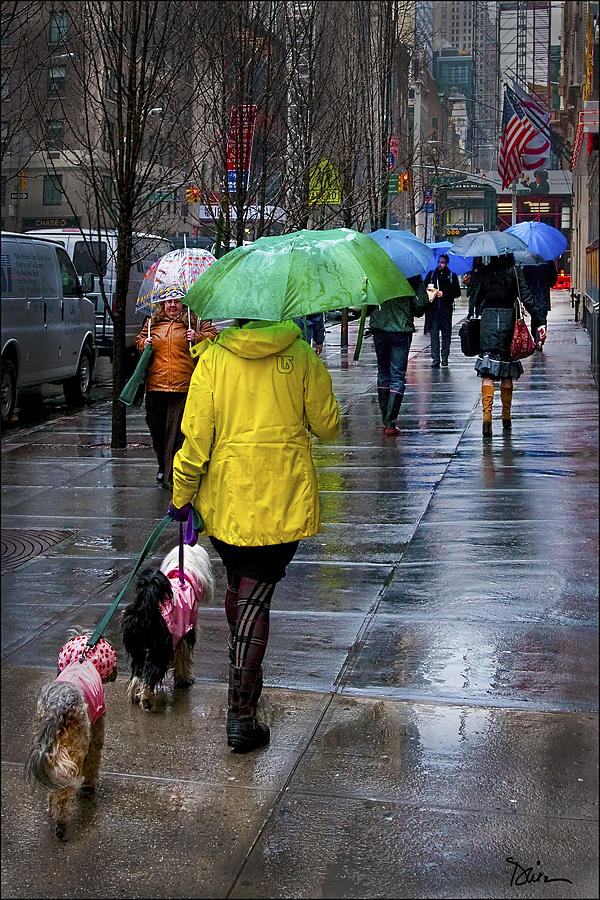 Rainy Day in Manhattan Photograph by Peggy Dietz