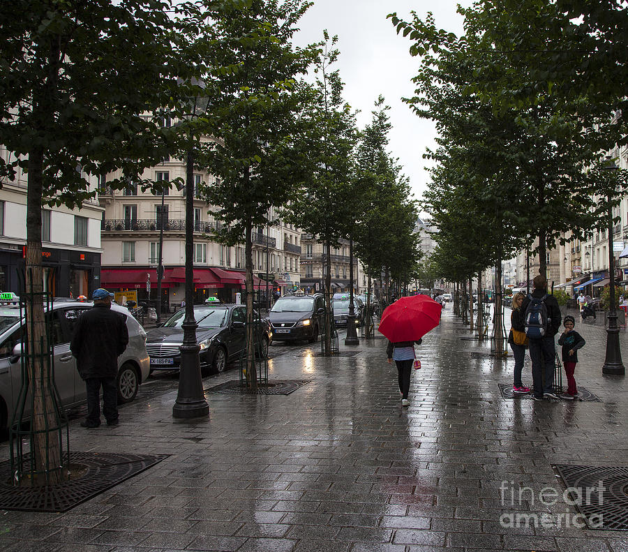 Rainy day in Paris Photograph by Timothy Johnson