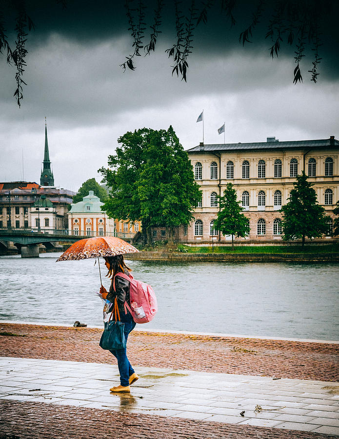 Rainy Day in Stockholm Photograph by Jim DeLillo