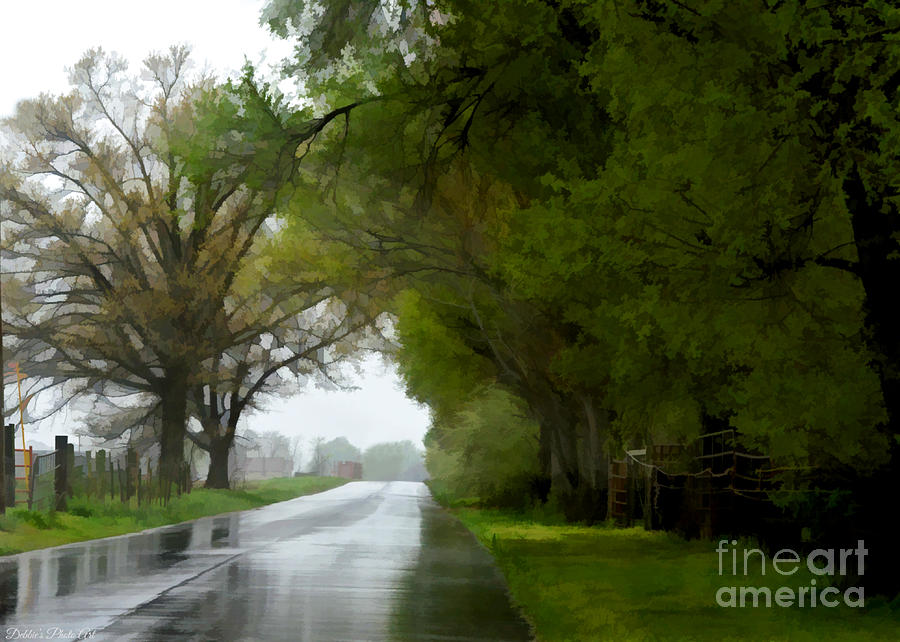 Rainy Day Road - Digital paint 1 Photograph by Debbie Portwood