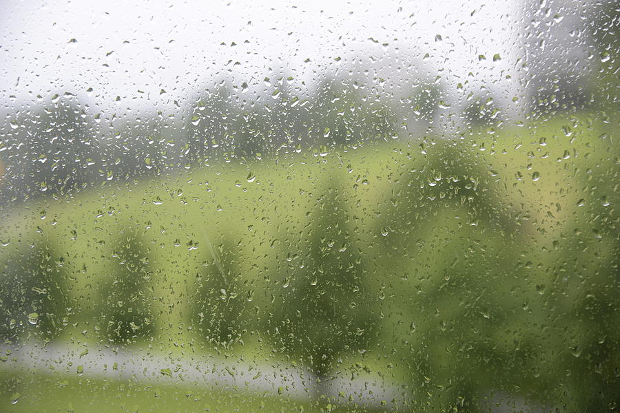 Fine Photograph - Rainy Day Romance 2 by Teo SITCHET-KANDA Fine Photograph - Rainy Day Romance 2 by Teo SITCHET-KANDA