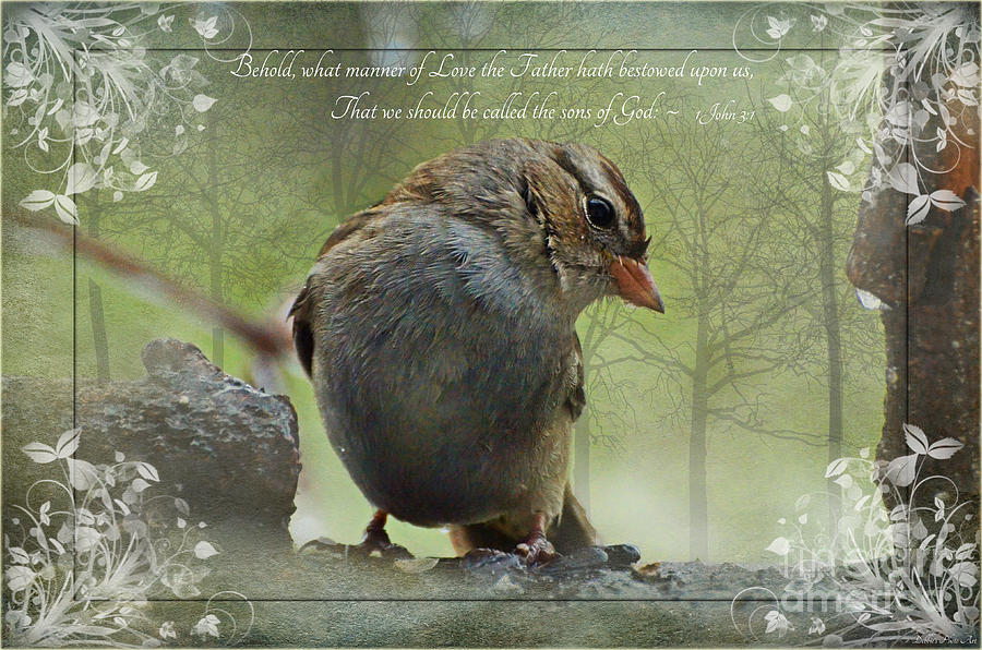 Rainy Day Sparrow with verse Photograph by Debbie Portwood