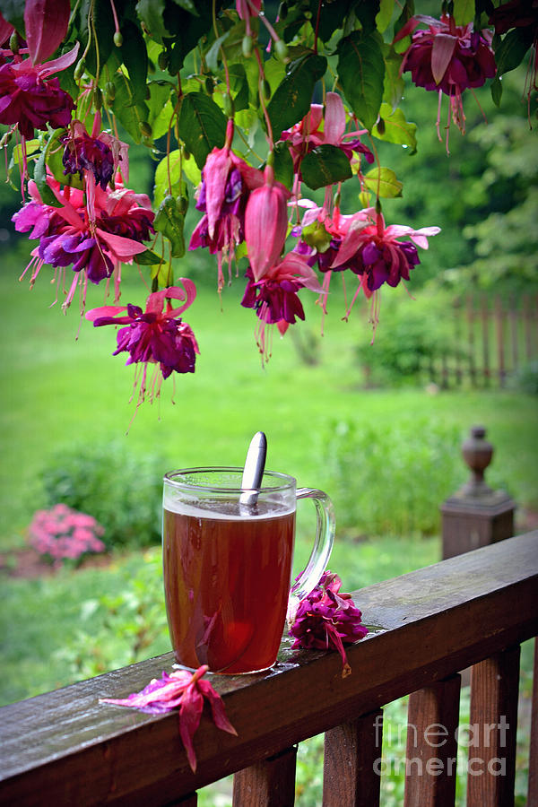 Rainy Day Tea Photograph by Lila Fisher-Wenzel