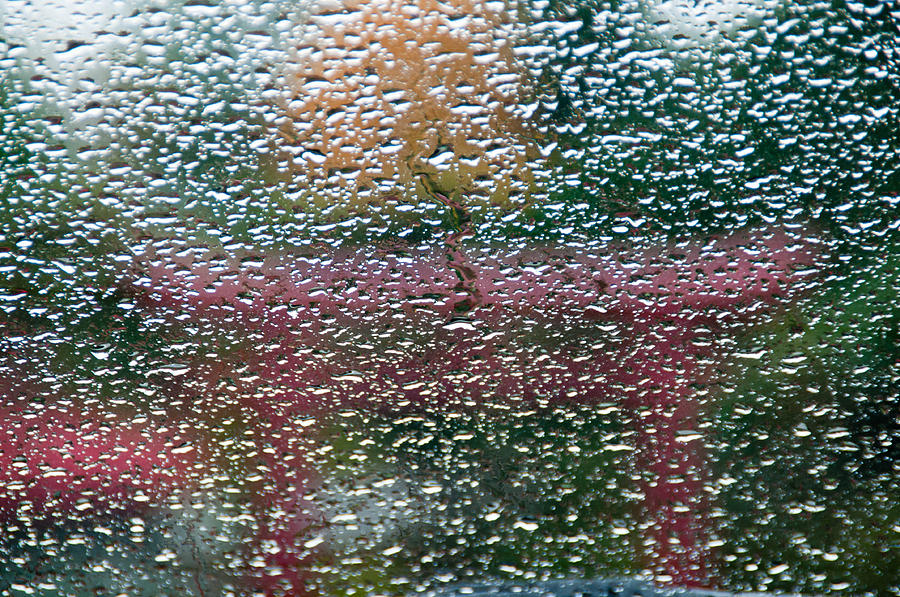 Rainy Day Window Photograph by Geraldine Alexander