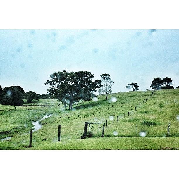 Raindrops Photograph - Rainy Days And Road Trips. #byronbay by Catherine Woodworth