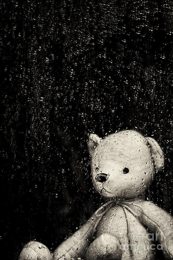 Bear Photograph - Rainy Days by Tim Gainey