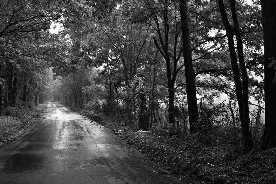 Rainy East Texas Back Road Photograph by Bryan Davis - Fine Art America